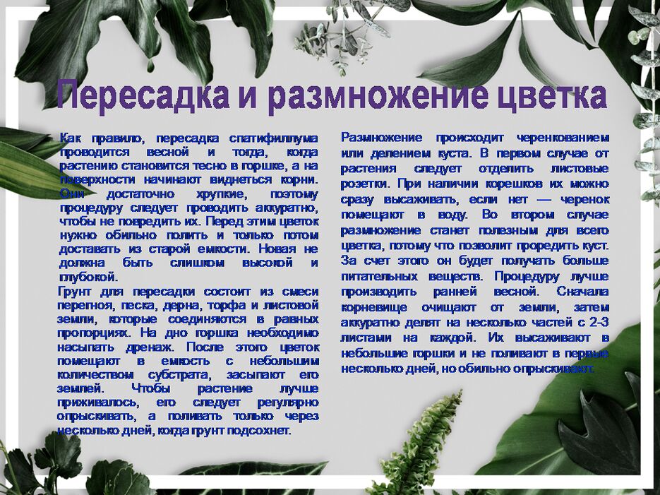 Слайд5.PNG