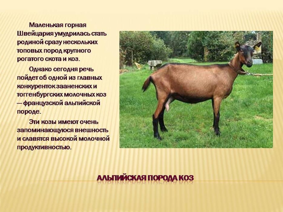 Слайд2.JPG