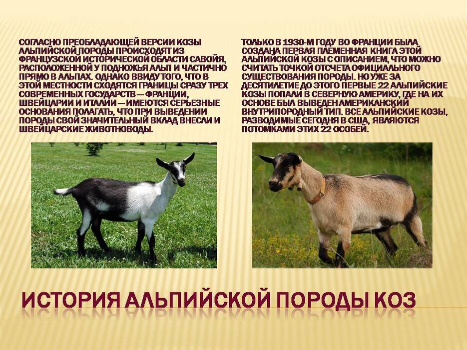 Слайд3.JPG