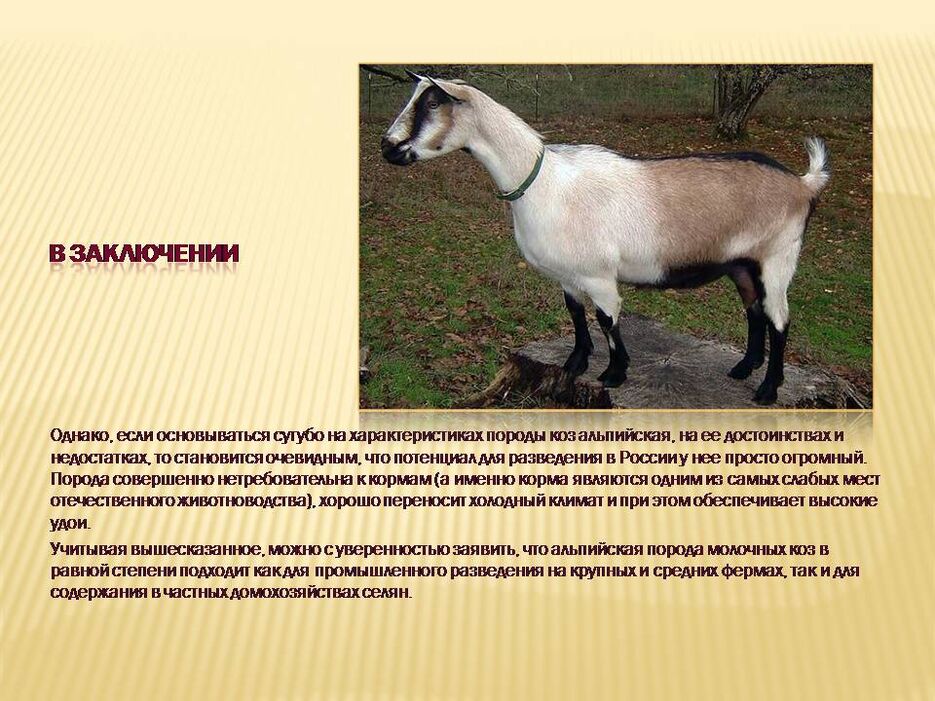 Слайд11.JPG