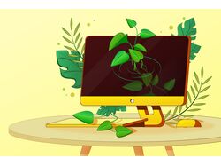 live computer