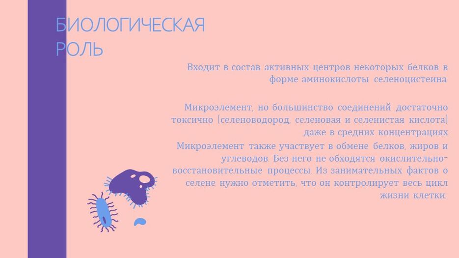 Слайд8.JPG