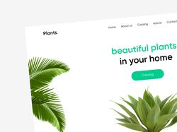 Plants | Website