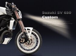 Suzuki SV650 (Custom)
