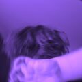 44weary