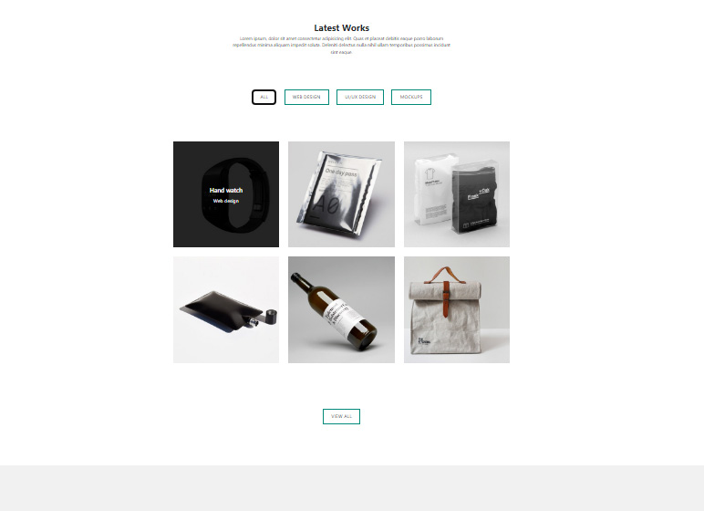 web-developer-portfolio-1.jpg