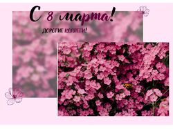 Работы сделанные в Canva. Открытки на 8 марта