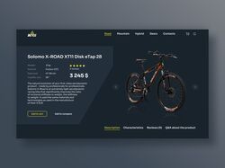 Bicycle Store Concept