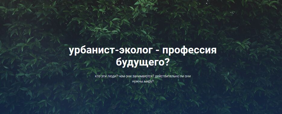 image (9).png