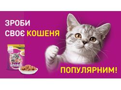Banners Whiskas