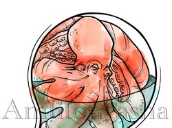 Рисование принтов, любых обычных и необычных идей