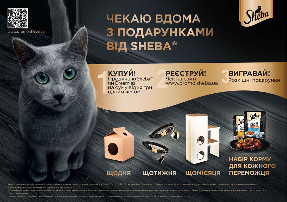 Sheba_A3_august_2020.jpg