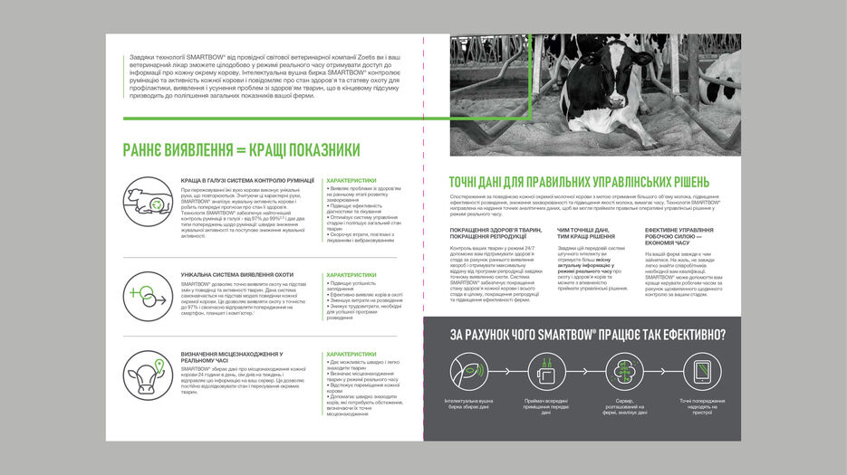 ZOETISSMARTBOW Marketing Brochure_page-0002.jpg