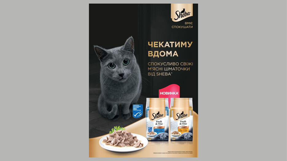 imgonline-com-ua-PicOnPic-rpkRa6nPIzOGuB.jpg