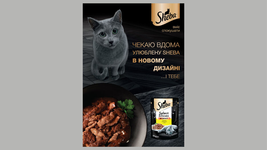 imgonline-com-ua-PicOnPic-50f4Db3l6Q.jpg