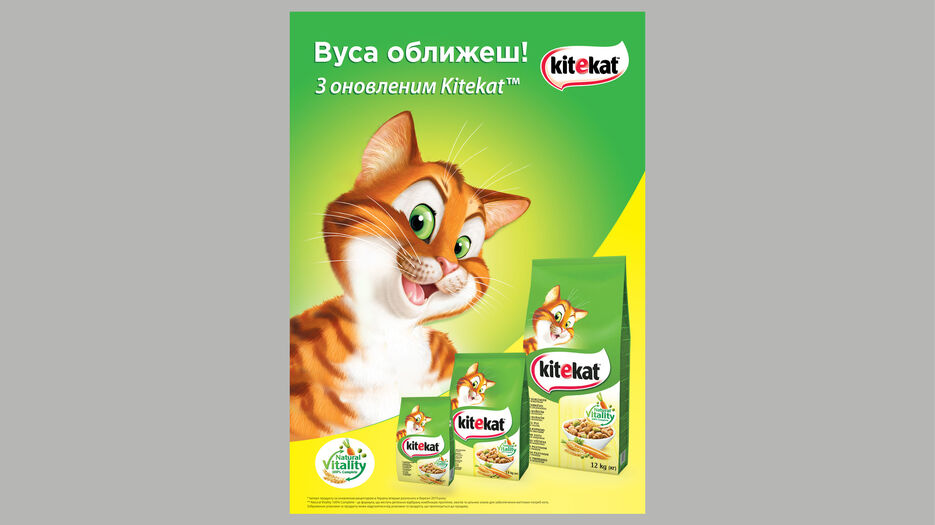 imgonline-com-ua-PicOnPic-R5jyehhLmw.jpg