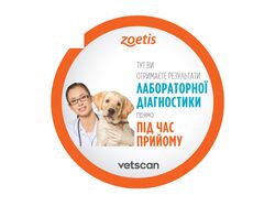 KV_Zoetis