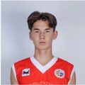 vladshved