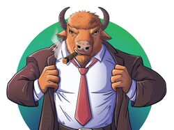 Принт для одежды, Furry
