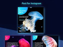 Пост для Instagram о медузах