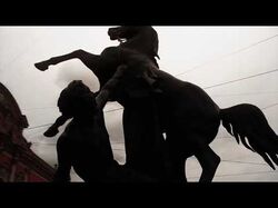 Montage