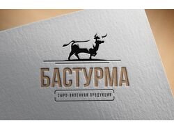 варианты лого для компании "Бастурма"