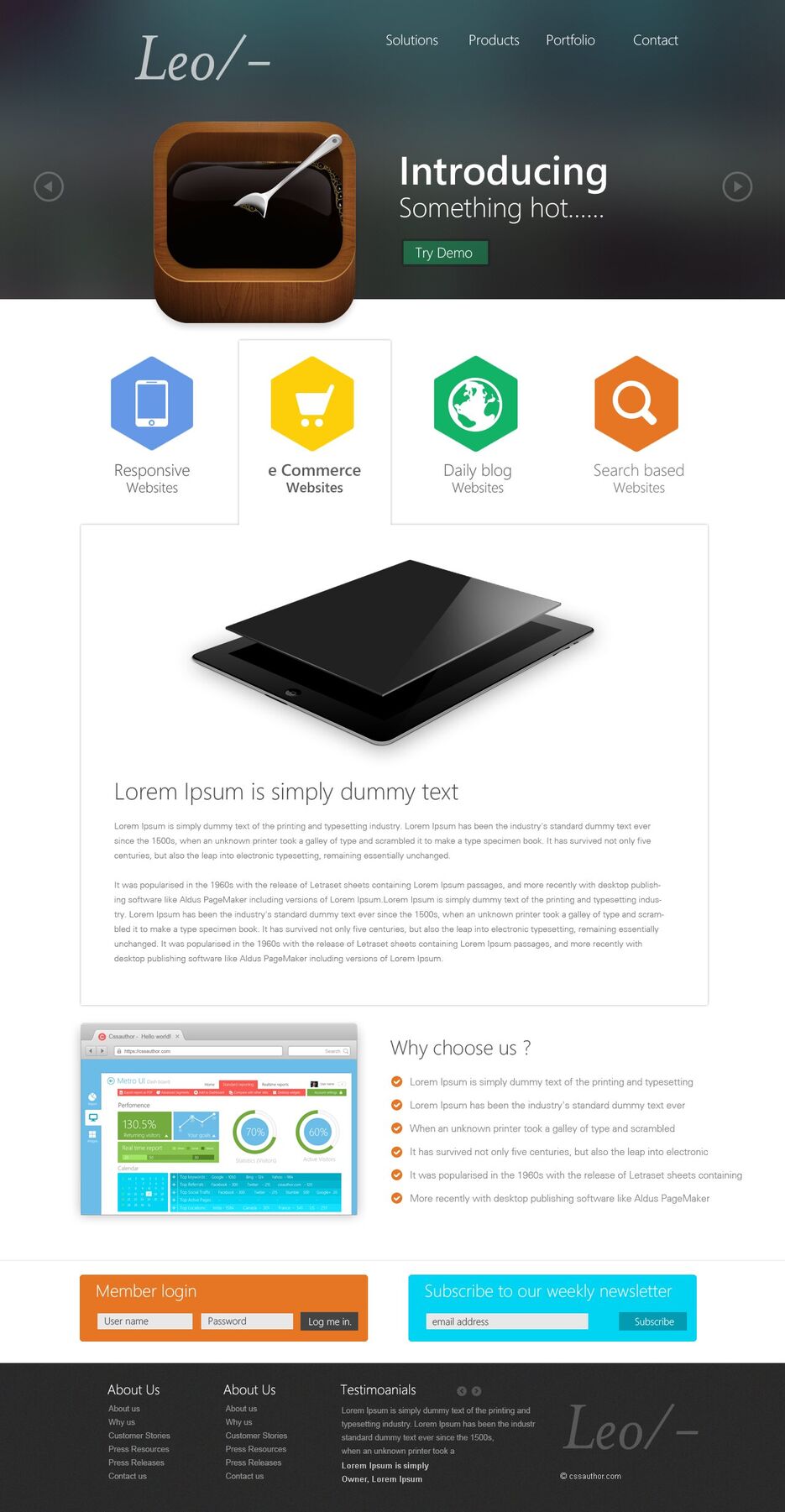 Professional Website Template Design PSD from CSS Author.jpg