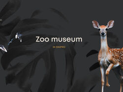 Zoo museum | Landing