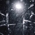 Artem_Smirnov1
