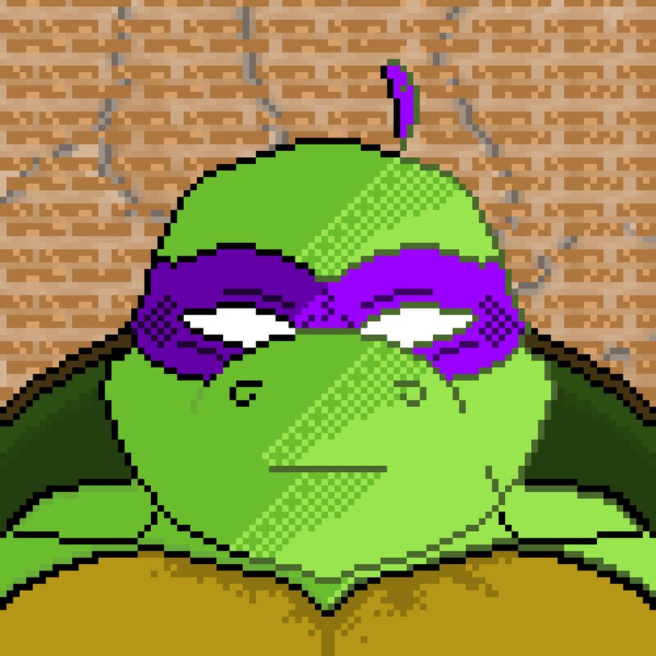 turtledon.png