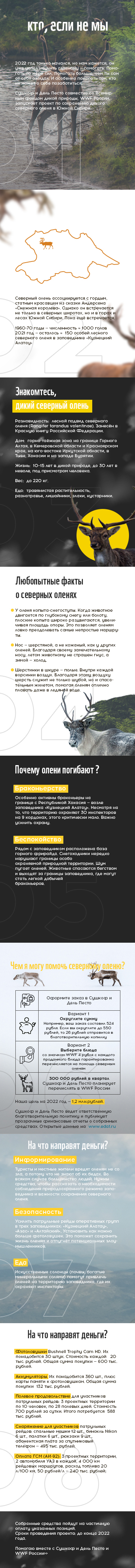 Мобильная версия.jpg
