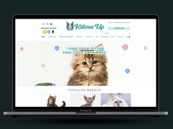 Магазин кошек. Seo-продвижение сайтов