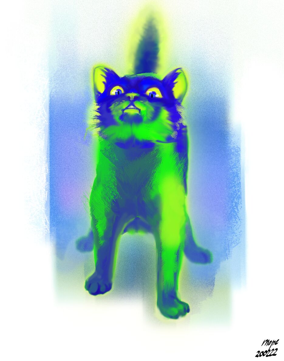 зеленый кот.png