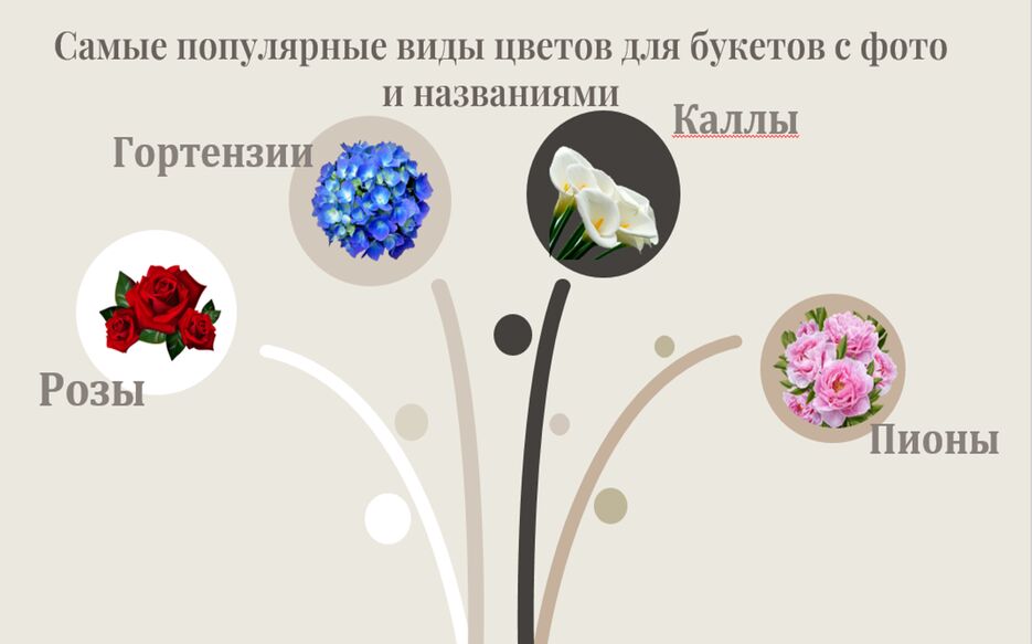 Рисунок4.png