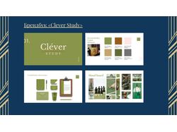 Дизайн — Брендбук «Clever Study»