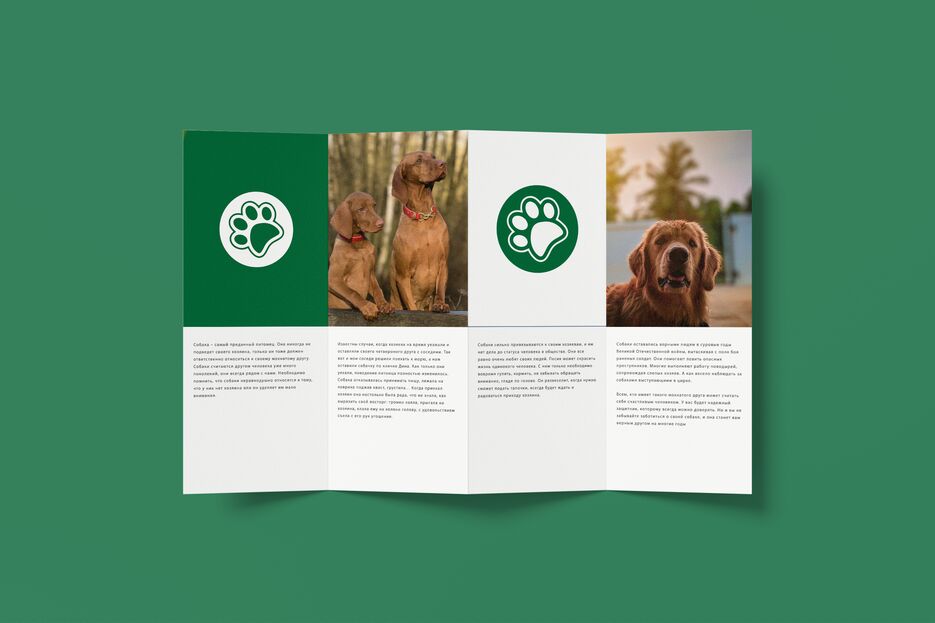 Brochure Mockup.png
