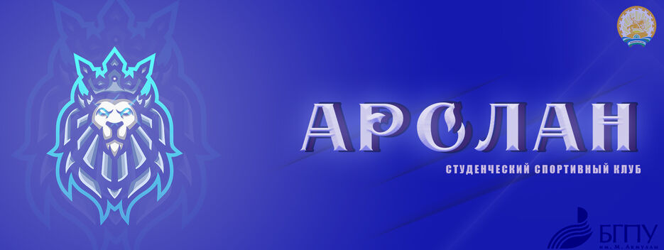 баннер арслан.jpg