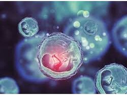 Лечение гепатита С стволовыми клетками