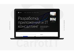 Разработка приложений и IT консалтинг