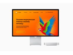 Дизайн сайта Ветеринарной клиники