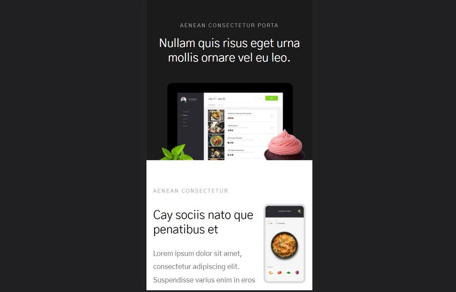 mobile2.jpg