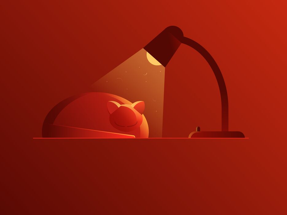 warm cat-01-01.png