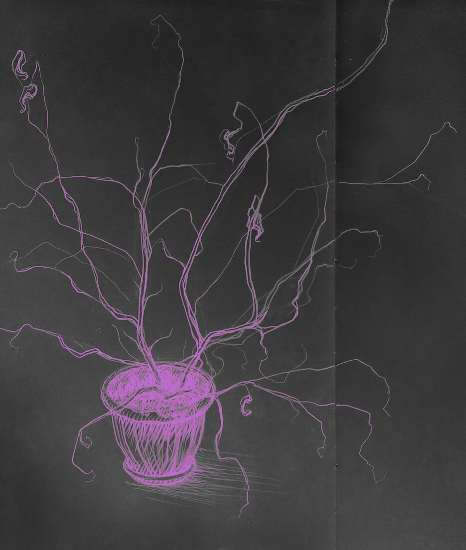 plant 0.jpg