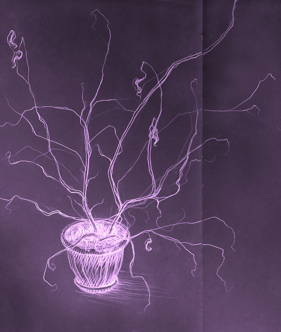 plant 0000.jpg
