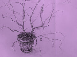 Sketch art