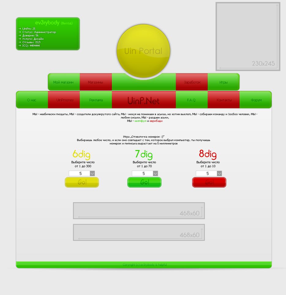 UinP.Net.png