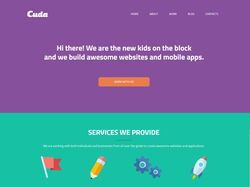 Cuda - Портфолио компании