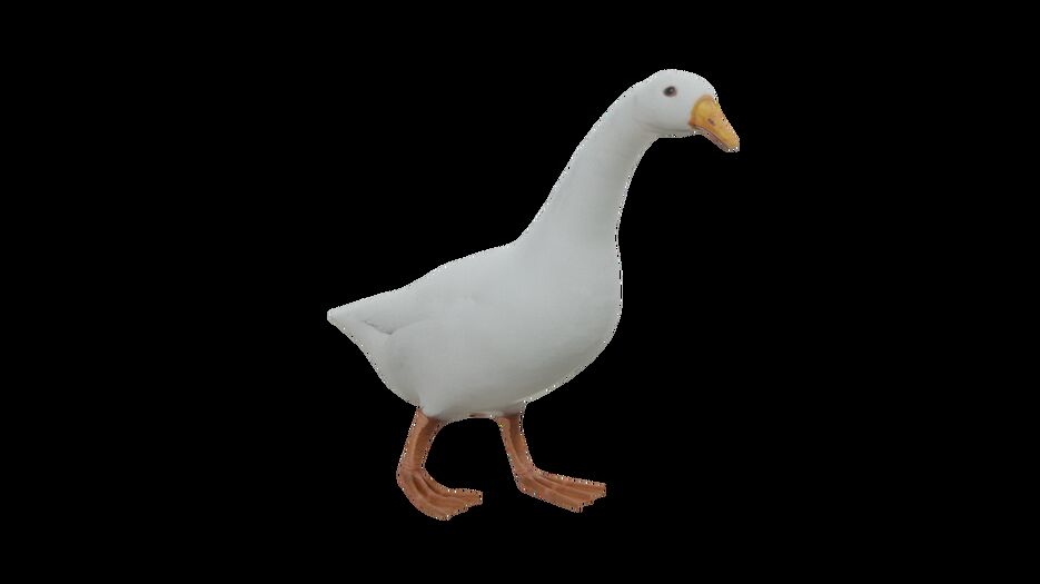 Гусь2.png