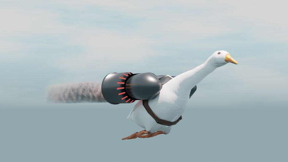 Гусь5.png