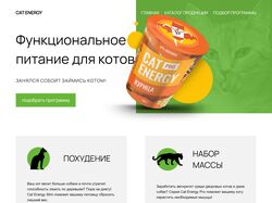 Адаптивная верстка Cat Energy